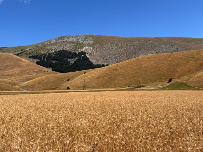 I campi di Rustichella d'Abruzzo