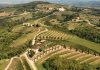 Da No Name ad Animo: Le Vigne di Zamò e la nuova profondità del Friulano
