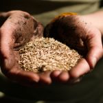 Terra Madre: dopo 17 anni, il diluvio siamo ancora noi